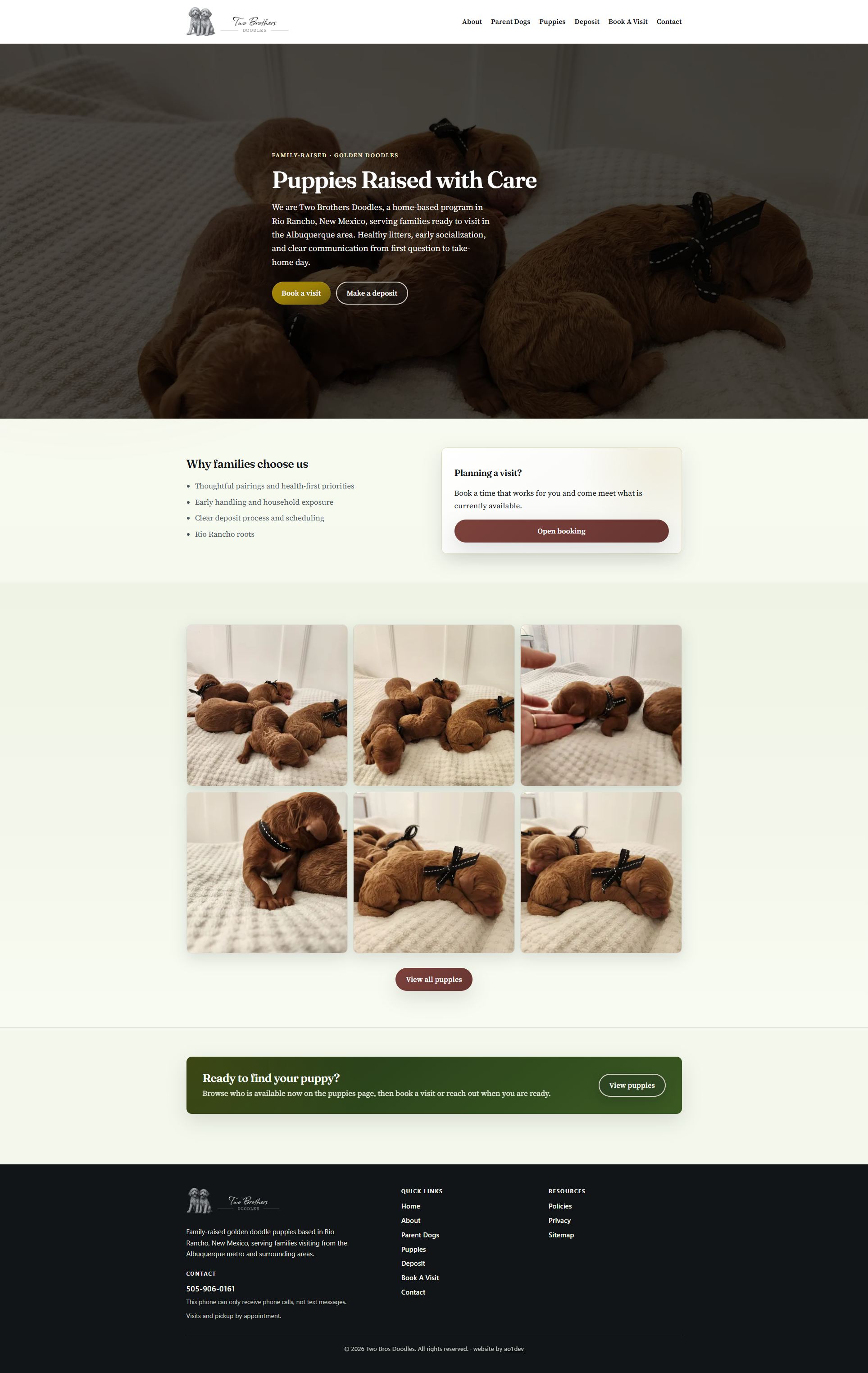 Two Brothers Doodles homepage screenshot